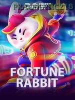Fortune Rabbit icon